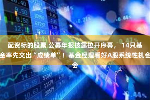 配资标的股票 公募年报披露拉开序幕， 14只基金率先交出“成绩单”！基金经理看好A股系统性机会