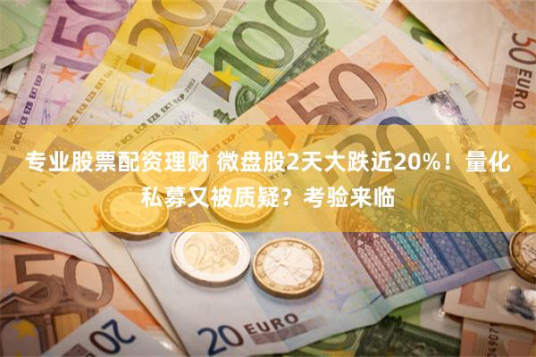 专业股票配资理财 微盘股2天大跌近20%！量化私募又被质疑？考验来临