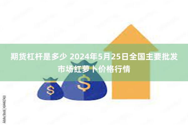 期货杠杆是多少 2024年5月25日全国主要批发市场红萝卜价格行情