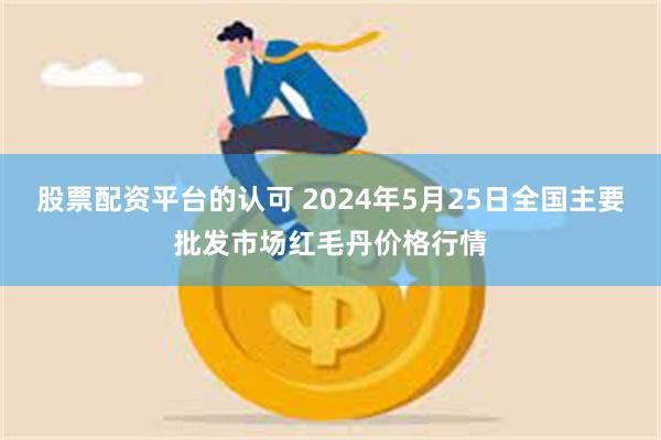 股票配资平台的认可 2024年5月25日全国主要批发市场红毛丹价格行情