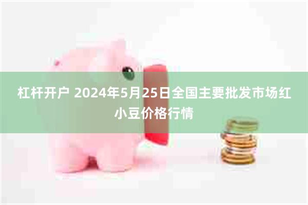 杠杆开户 2024年5月25日全国主要批发市场红小豆价格行情