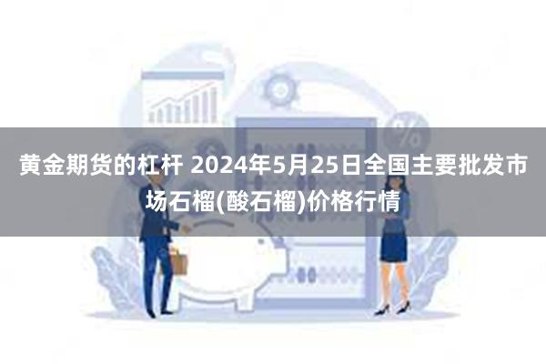 黄金期货的杠杆 2024年5月25日全国主要批发市场石榴(酸石榴)价格行情