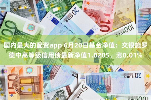 国内最大的配资app 6月20日基金净值：交银施罗德中高等级信用债最新净值1.0205，涨0.01%