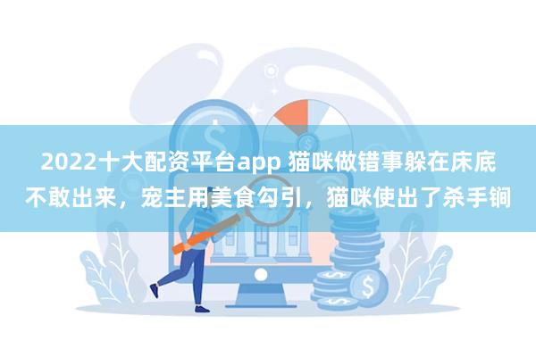 2022十大配资平台app 猫咪做错事躲在床底不敢出来，宠主用美食勾引，猫咪使出了杀手锏