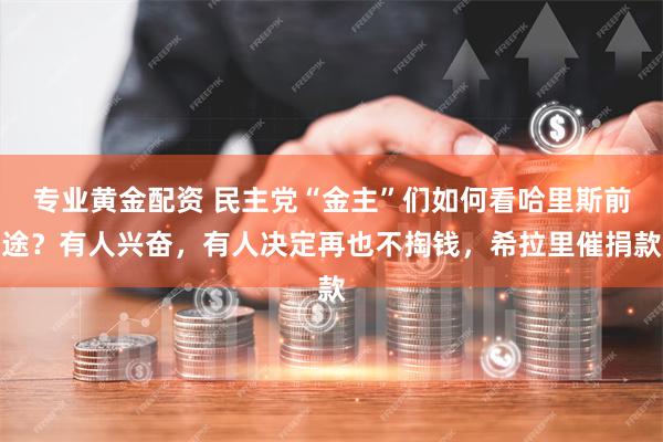 专业黄金配资 民主党“金主”们如何看哈里斯前途？有人兴奋，有人决定再也不掏钱，希拉里催捐款