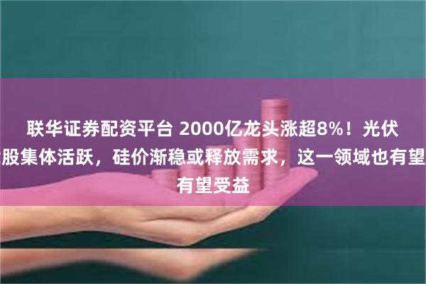 联华证券配资平台 2000亿龙头涨超8%！光伏概念股集体活跃，硅价渐稳或释放需求，这一领域也有望受益