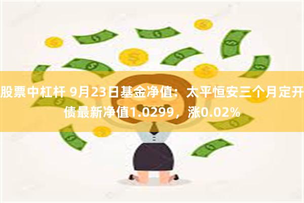 股票中杠杆 9月23日基金净值：太平恒安三个月定开债最新净值1.0299，涨0.02%