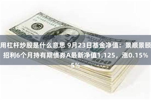 用杠杆炒股是什么意思 9月23日基金净值：景顺景颐招利6个月持有期债券A最新净值1.125，涨0.15%