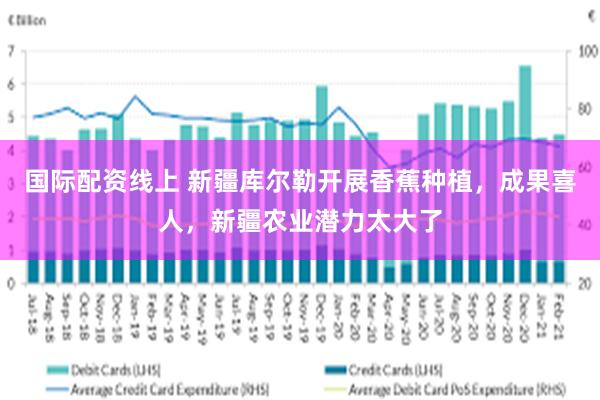 国际配资线上 新疆库尔勒开展香蕉种植，成果喜人，新疆农业潜力太大了